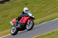 PJ-Motorsport-2019;anglesey-no-limits-trackday;anglesey-photographs;anglesey-trackday-photographs;enduro-digital-images;event-digital-images;eventdigitalimages;no-limits-trackdays;peter-wileman-photography;racing-digital-images;trac-mon;trackday-digital-images;trackday-photos;ty-croes